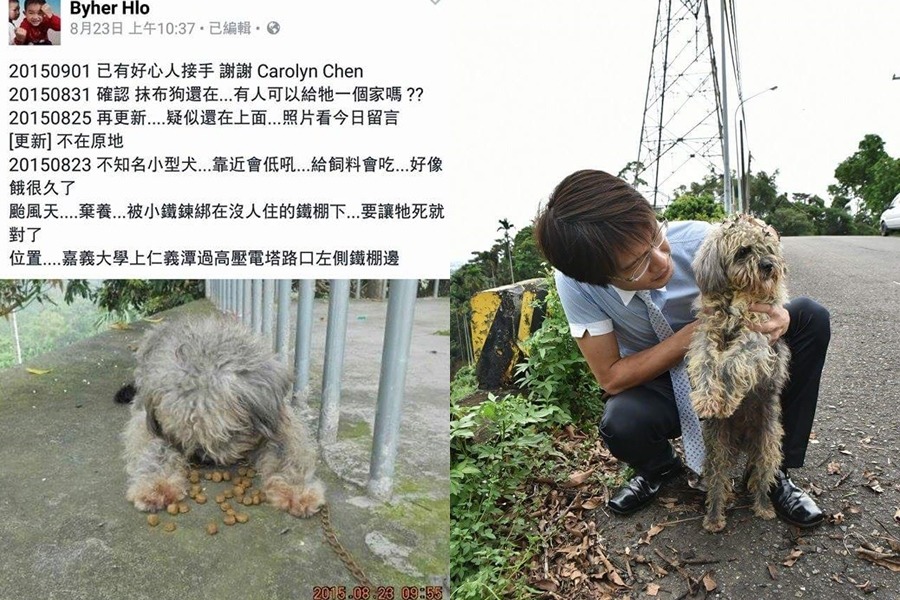 佳佳最初被發現時，還被鐵鍊綁在欄杆上。主導救援行動的吳育才認為，從皮膚狀況和棄置地點來看，佳佳原本很可能是繁殖場的種犬。　吳育才/提供