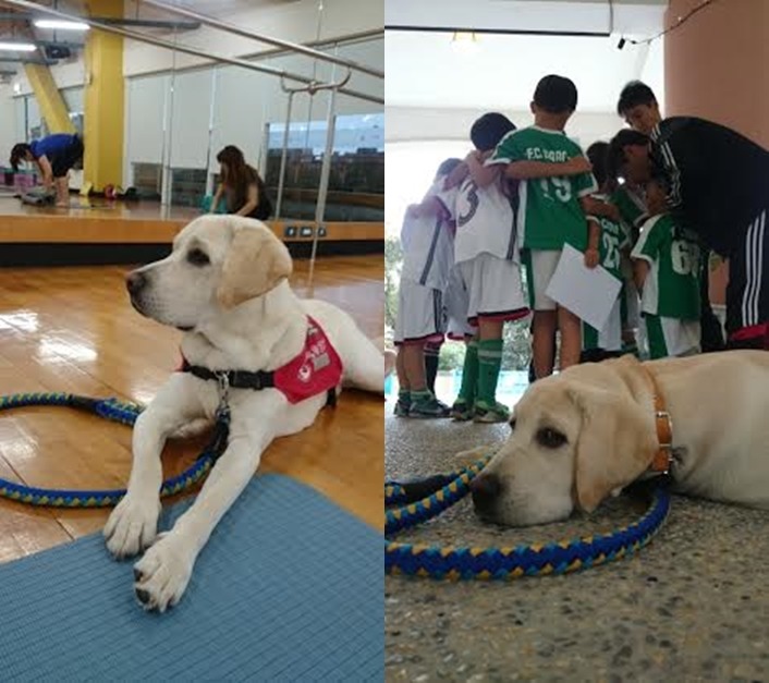 Koby有大將之風，無論是陪媽媽去上瑜珈，還是去看哥哥的足球比賽都很沉著穩定，寄養家庭輔導員Ally也稱讚Koby是難得一見的資優生。　史美瑜/提供