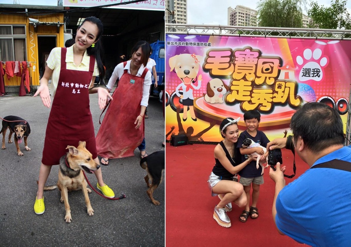 王思佳曾號召粉絲一同到動物之家做義工，將在世界動物日再次為流浪動物站台。　取自王思佳Sophia 0818粉絲專頁