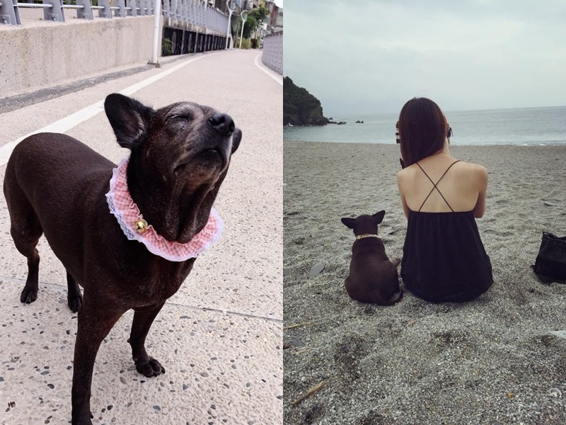 Emily最愛帶著菲菲到處去玩。　Emily/提供