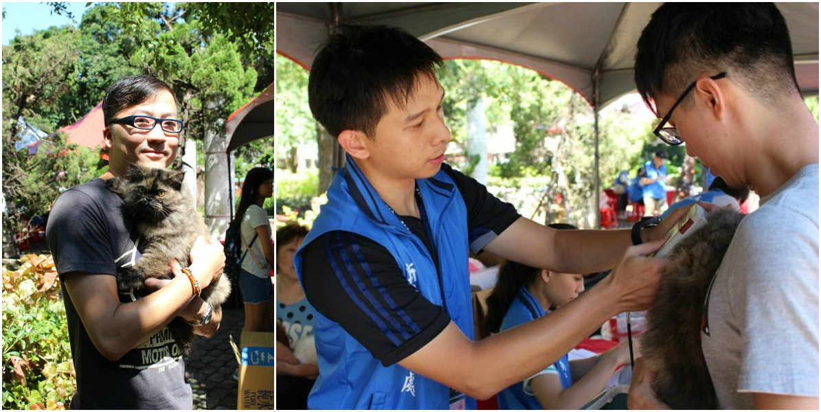 混種波斯貓「OA」的飼主四毛先生，從Facebook上得知今日有免費狂犬疫苗和晶片，特地帶著OA前來施打。　黃靖雅/攝