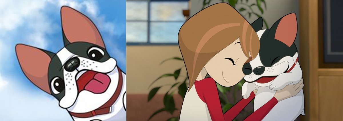 看完這個影片後，你是不是對老、病的寵物多了點耐心跟愛心呢？　取自Facebook粉絲專頁「酷哥」