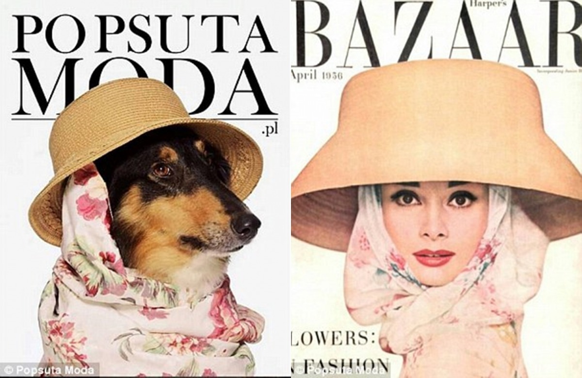 取自POP PSU TA MODA