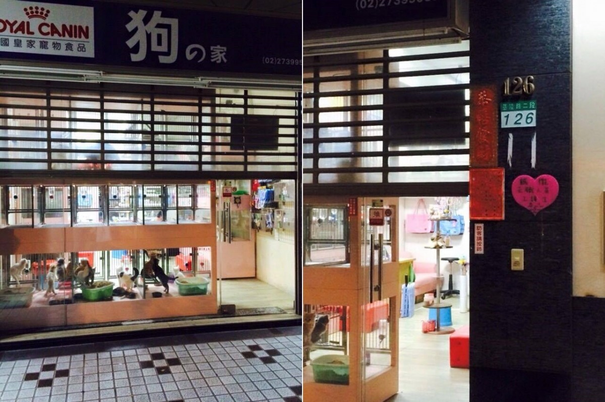 李小姐拍下照片當下，鐵門拉了一半，但未見店員。稍晚再度路過時，在店門外看到疑似店員的人正在討論此事，稱：「貓本來就有毛病了」。　李小姐/提供