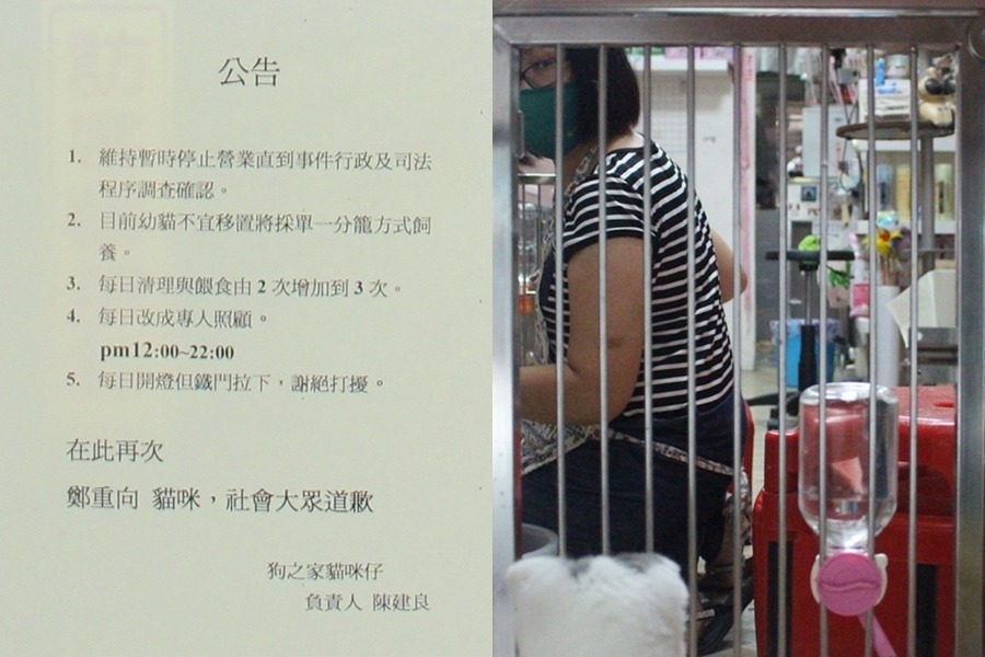 店外除貼有道歉啟示，也公告幼貓的安置方式予有疑慮的民眾看。　黃靖雅/攝