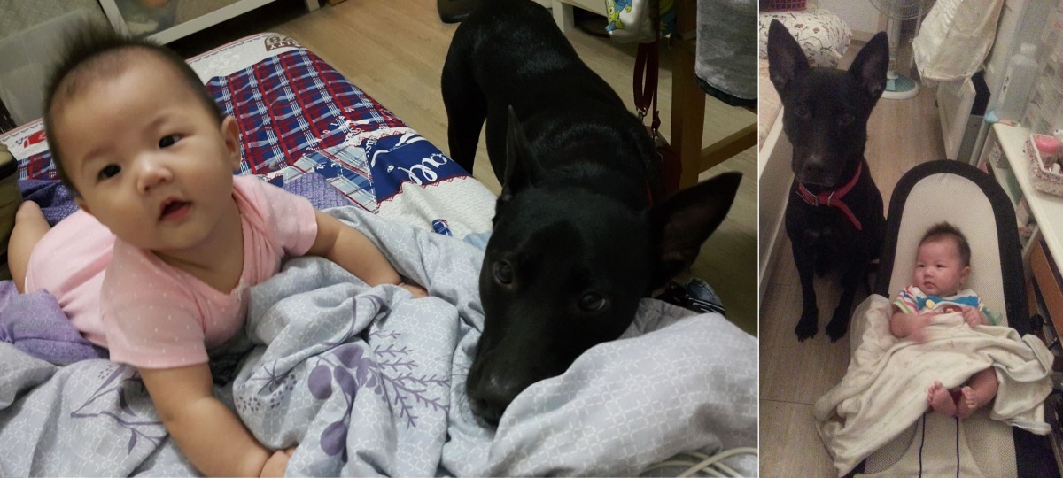 廖心筠認為愛護動物這種事,讓爸媽來教,效果永遠不會比讓動物來教更好。 廖心筠/提供