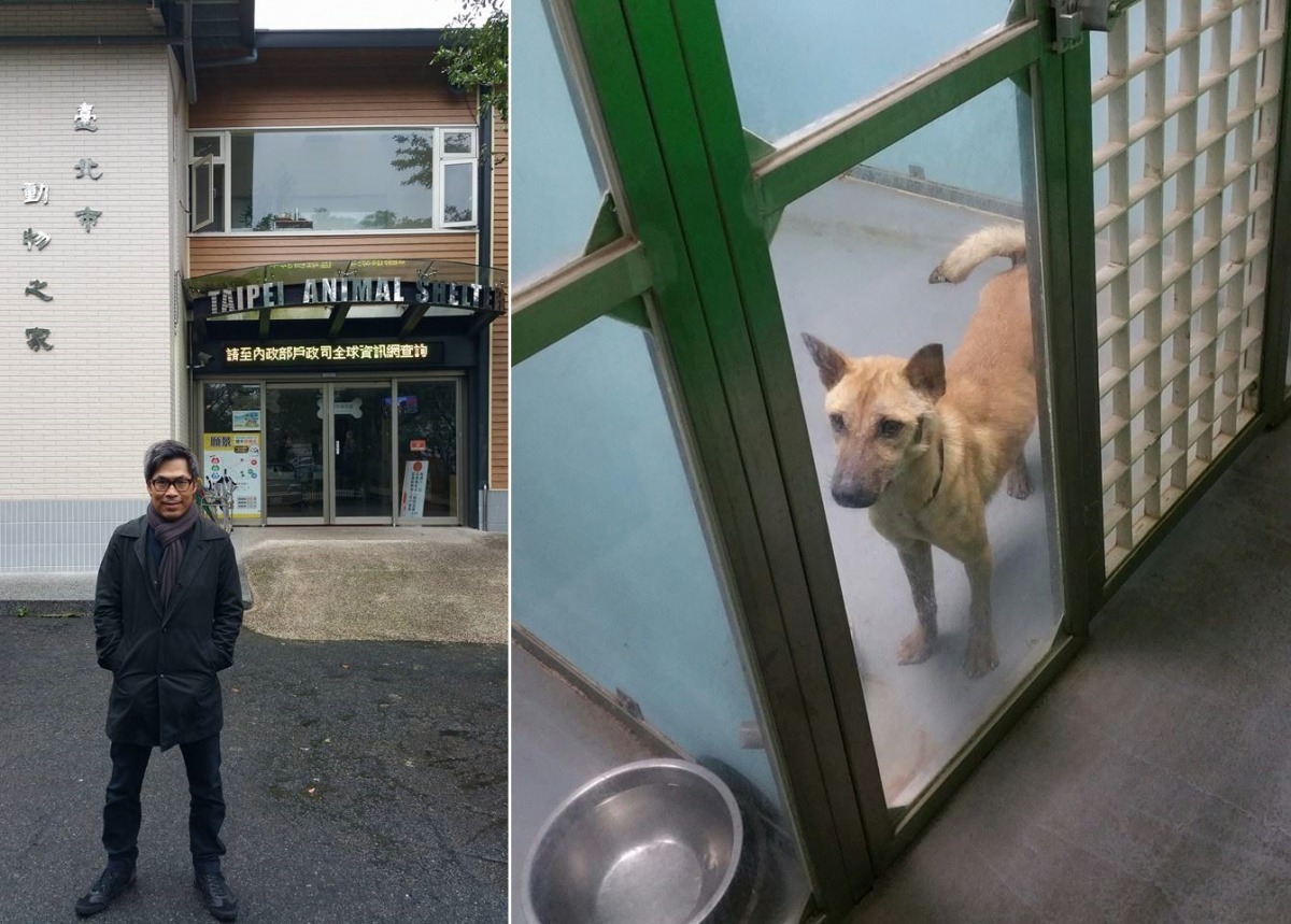麥志豪在短短4天中參觀了內湖動物之家、浪浪別哭,還拜訪了台北動保處處長嚴一峰、中華民國保護動物協會、台灣動物新聞網、關懷生命協會執行長何宗勳、樹黨。 麥志豪/提供
