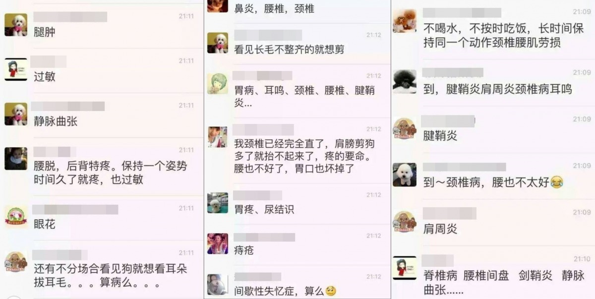 對岸的寵物美容師也在共同群組內大吐苦水。　李文雄/提供