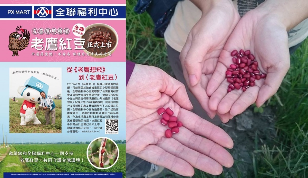 右圖左邊比較大顆飽滿的就是這批在全聯福利中心販售的老鷹紅豆。　取自網路