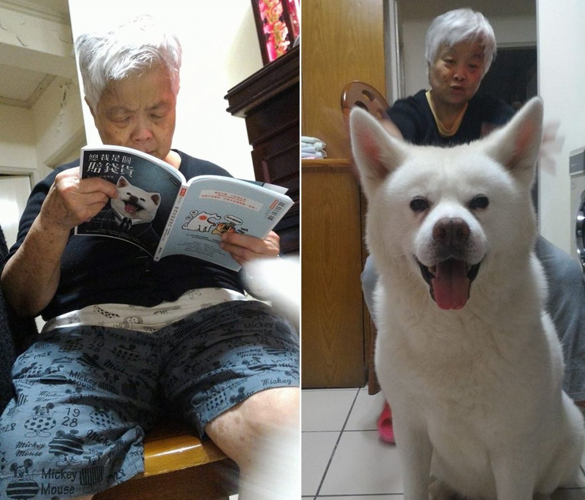 阿嬤很認真看書。　取自秋田犬泥褲總裁