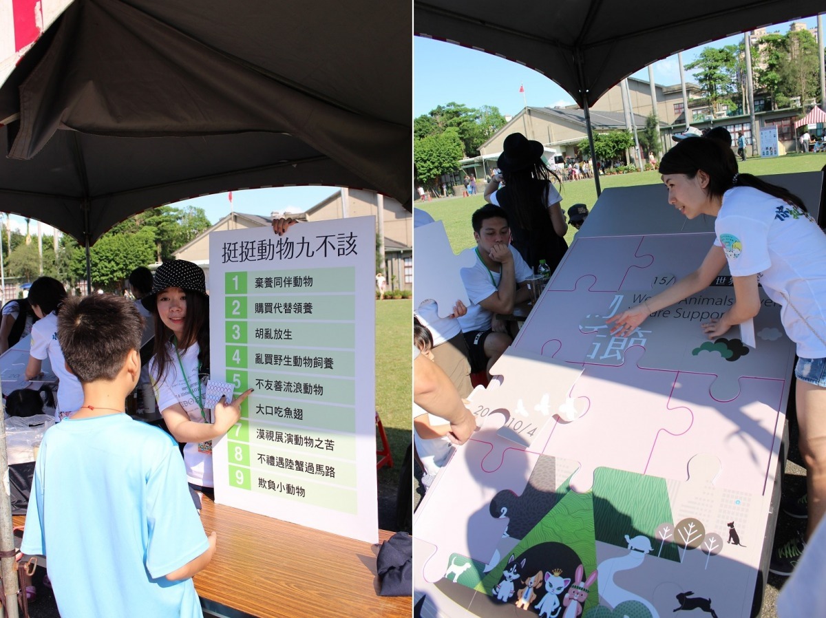 當天設計了不少小遊戲，讓大家都能簡單的了解動保、野保概念。　黃靖雅/攝