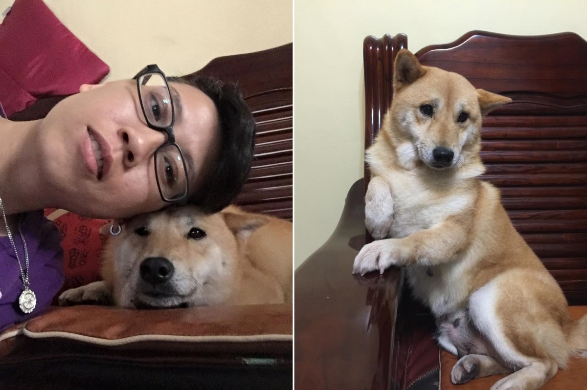 Hachi還是個性纖細敏感,但比起一開始已經有很大的進步了。 Gean Yang/提供