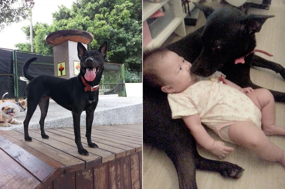 大黑姊姊是妹妹最好的玩伴! 廖心筠/提供