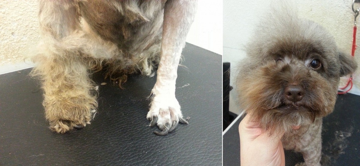 「是的,這就是江湖失傳已久的還我漂漂拳(設計對白)」 李慶/提供