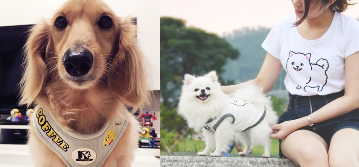 免費添加名字、電話的服務讓飼主備感窩心(左)。有超過40%的飼主，會購買成套親子裝(右)。　NINKYPUP/提供