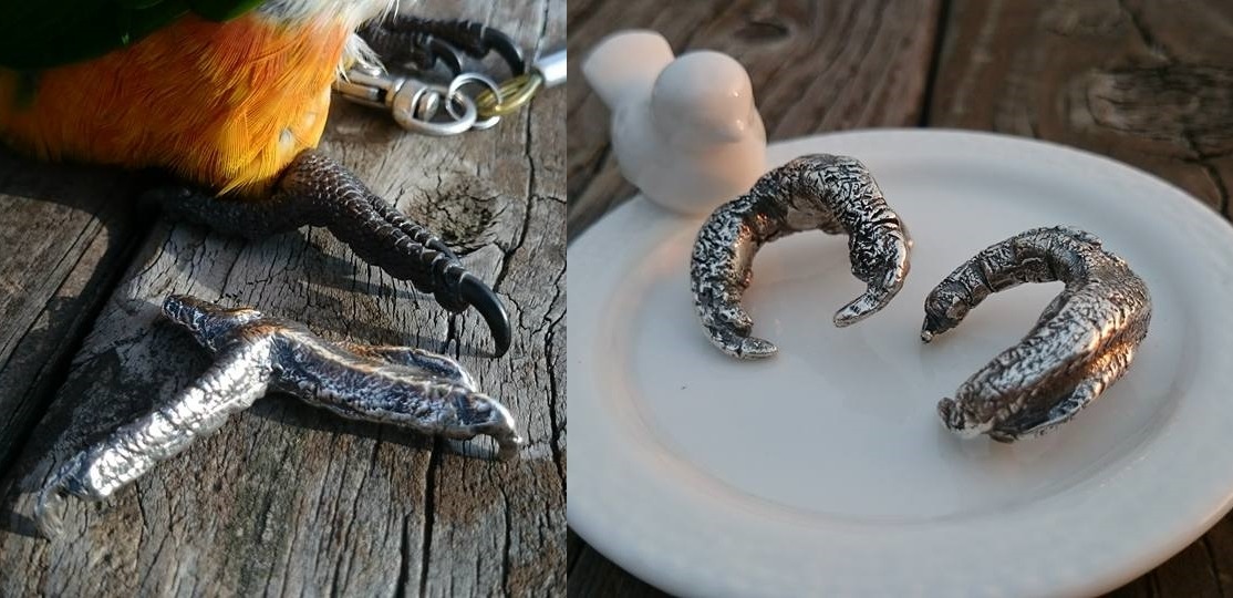 奶綠的鳥腳戒超有氣勢。 取自Hey 鳥朋友-EcoEco生態工作室