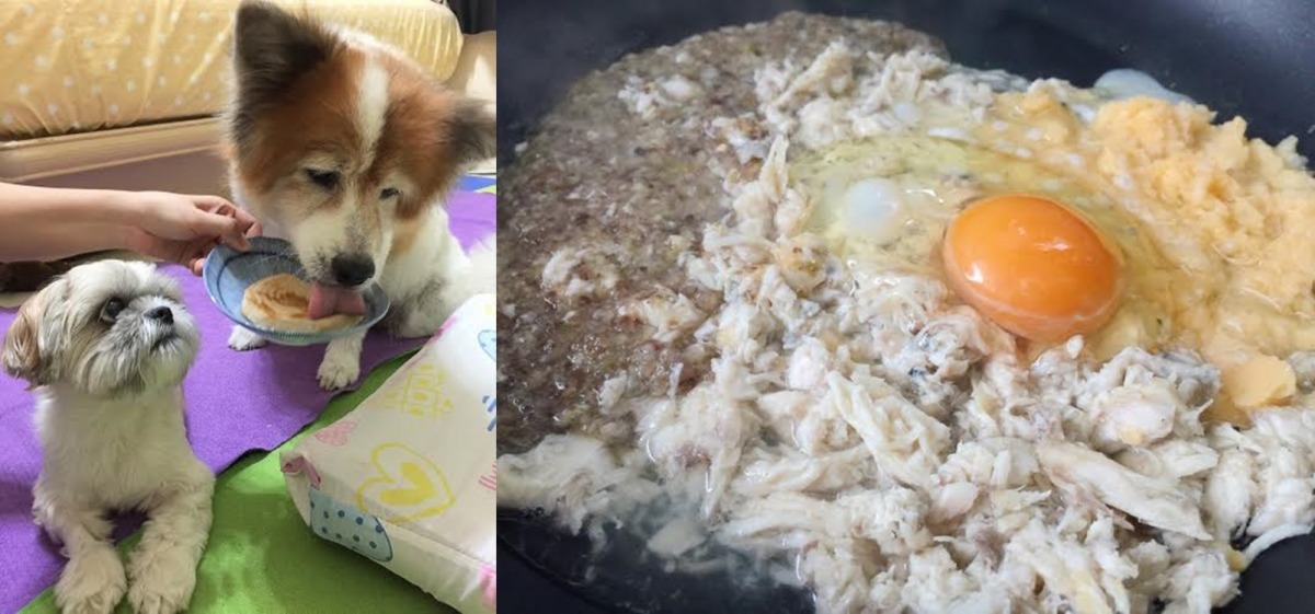 莎莎：「我也想要吃虱目魚排！」圖左為虱目魚、菜泥、地瓜白飯泥，是娜莎媽為了增進娜娜食欲、兼顧營養而特製的娜娜餐。　娜莎爸/提供