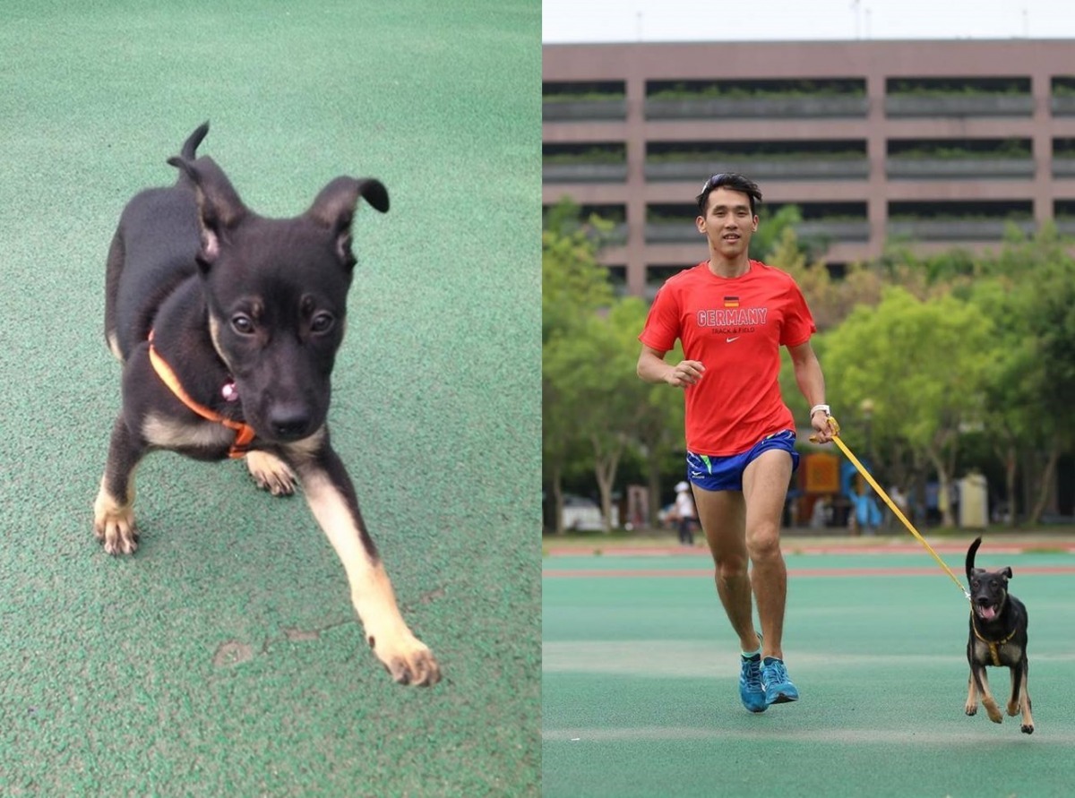 主人在拉筋的時候，黑福也在旁邊學主人拉筋(左)。黑福：「運動前別忘了暖身哦！」　劉祝兆/提供