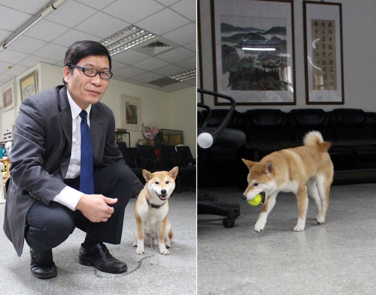 林文生(左)在辦公時,好客就會乖乖在校長室裡自己玩。 黃靖雅/攝