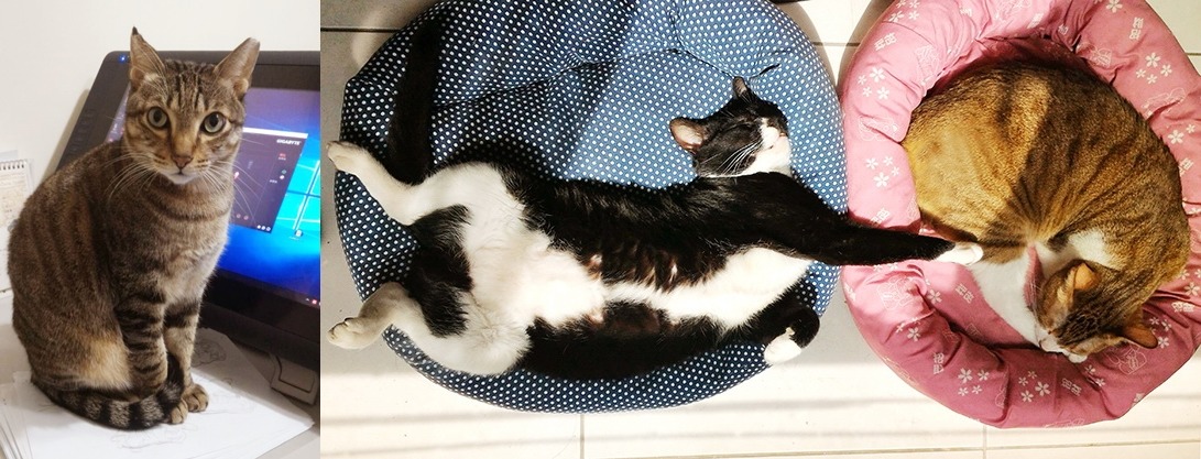 從左到右為大發、海苔、泡芙。　可布魯/提供