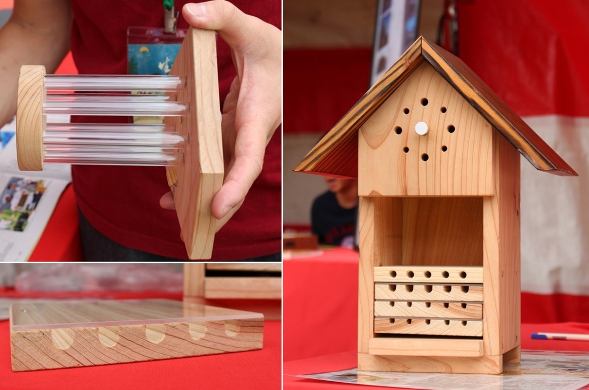 圖為教育版獨居蜂旅館。旅館隔板可抽出,方便觀察。有的獨居蜂體型小,僅1~3mm,如蘆蜂,有的則比一般的蜜蜂還要大,如:木蜂。 取自城市養蜂是Bee要的