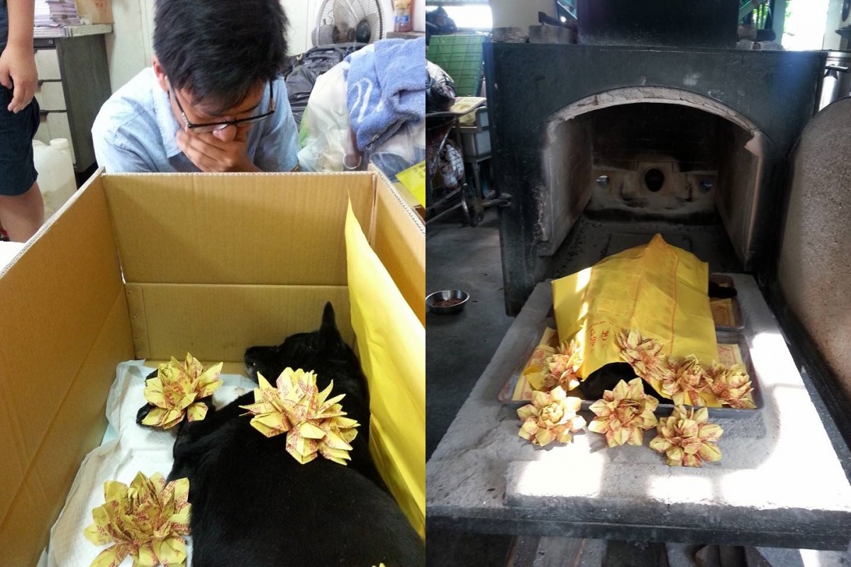 阿布在4日白天火化，一路有仁犬社同學的陪伴。　林招吟/提供