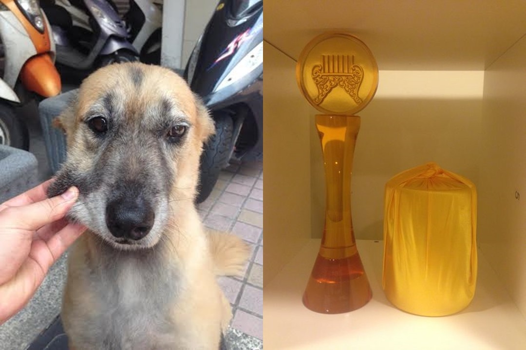 阿財剛過世，布朗還沒有想過是否要再養狗，但是他表示如果以後再養狗，一定要給牠足夠的空間奔跑，讓牠盡情享受奔跑時的歡樂時光。　布朗/提供