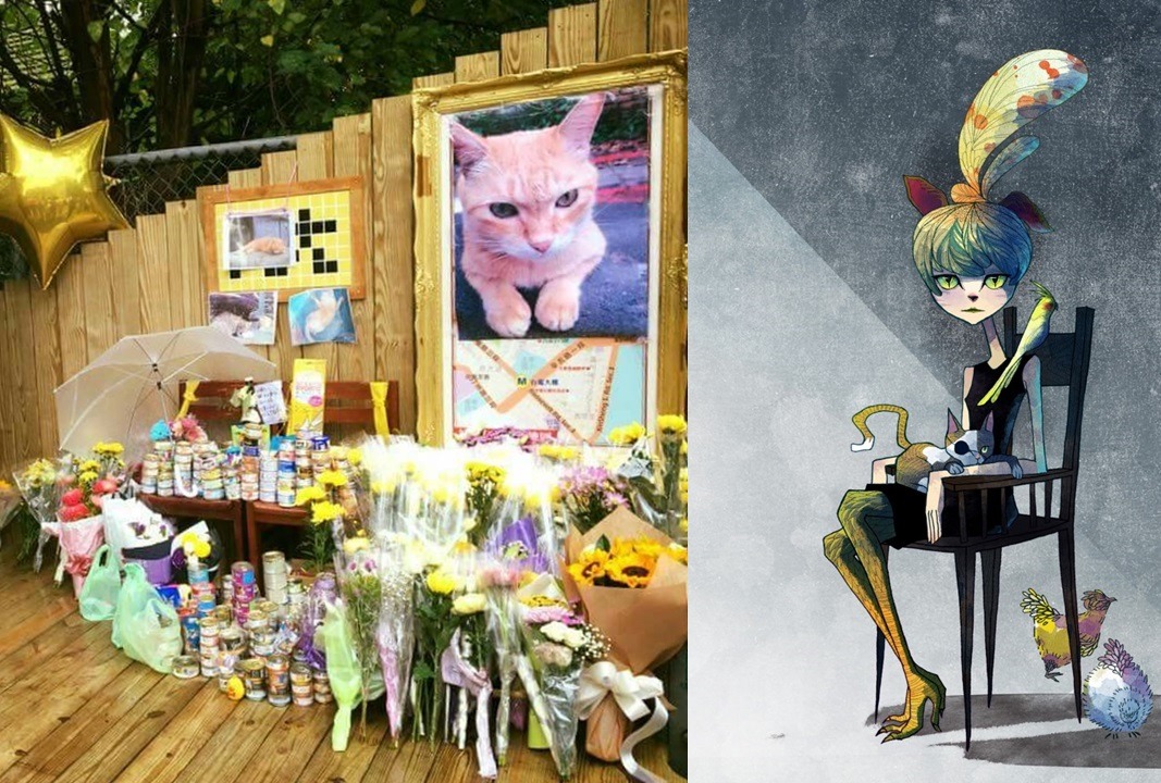 圖左為大橘子，圖右為林瑪黛的樣貌。　取自林瑪黛