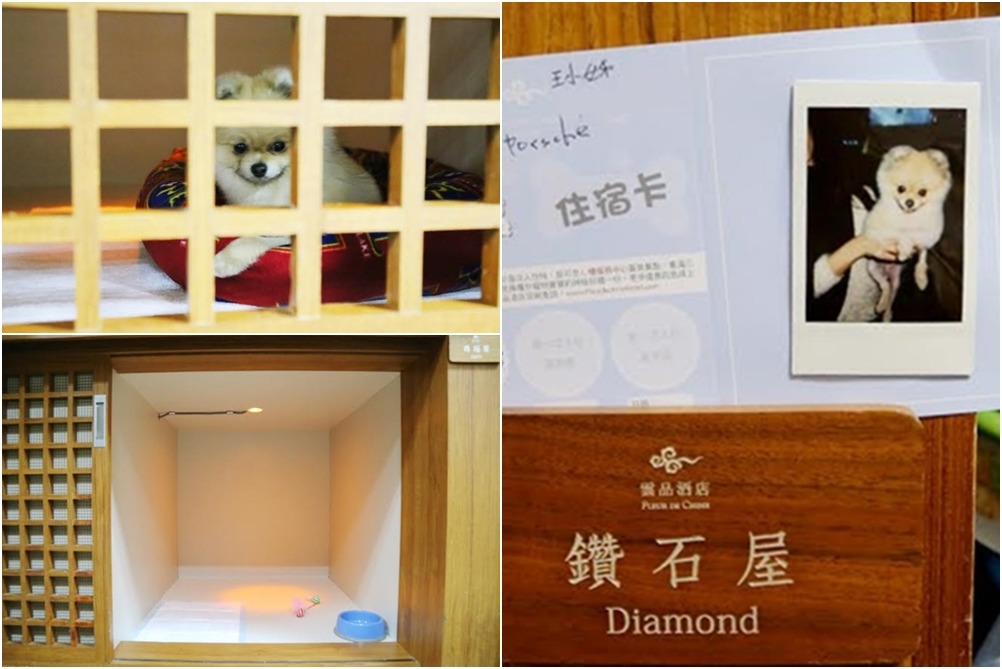 寄宿房分上下兩間，內有基本備品，在住宿卡上集滿三點，還可兌換寵物禮品。　雲品飯店/提供