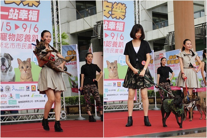 新北市動保處邀請能仁家商的同學為新北市動物之家的狗狗設計衣服，並牽著牠們一同走秀。　黃靖雅/攝