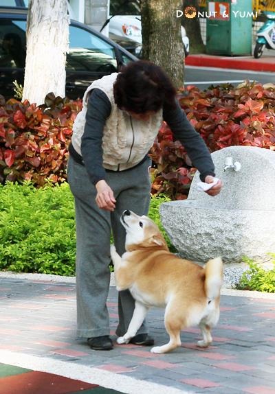 秦綾謙的媽媽原本不想養狗，後來也被Yumi融化了。　秦綾謙/提供
