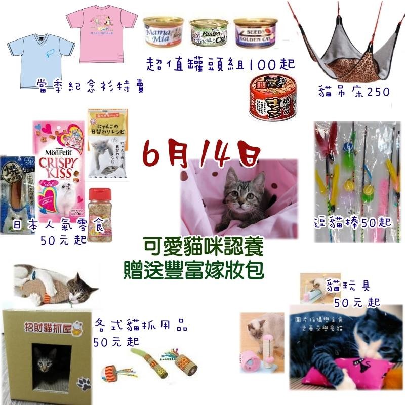 送養會當天還有許多優惠的貓用品。台北市支持流浪貓絕育計畫協會/提供