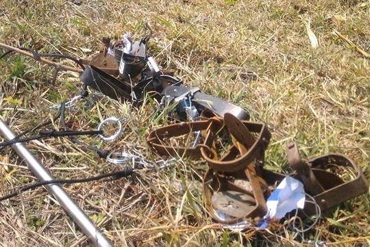 法律明文禁止的獸鋏，在國家公園卻如此氾濫。  Mandy/提供