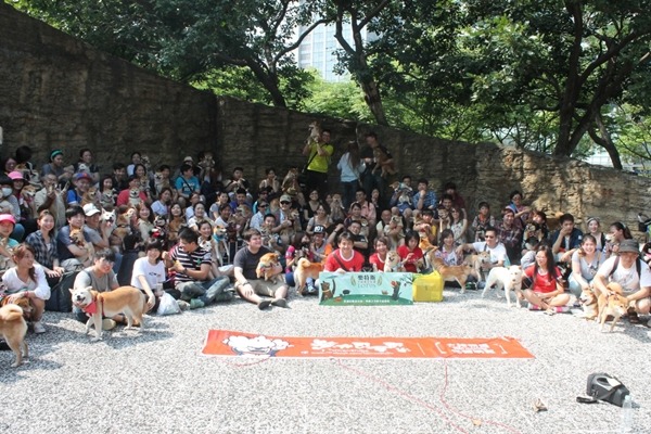 柴犬司令部動員全台147隻柴犬大集合，獲得寵物嘉年華家族動員令的第一名。　Teddie拔/提供