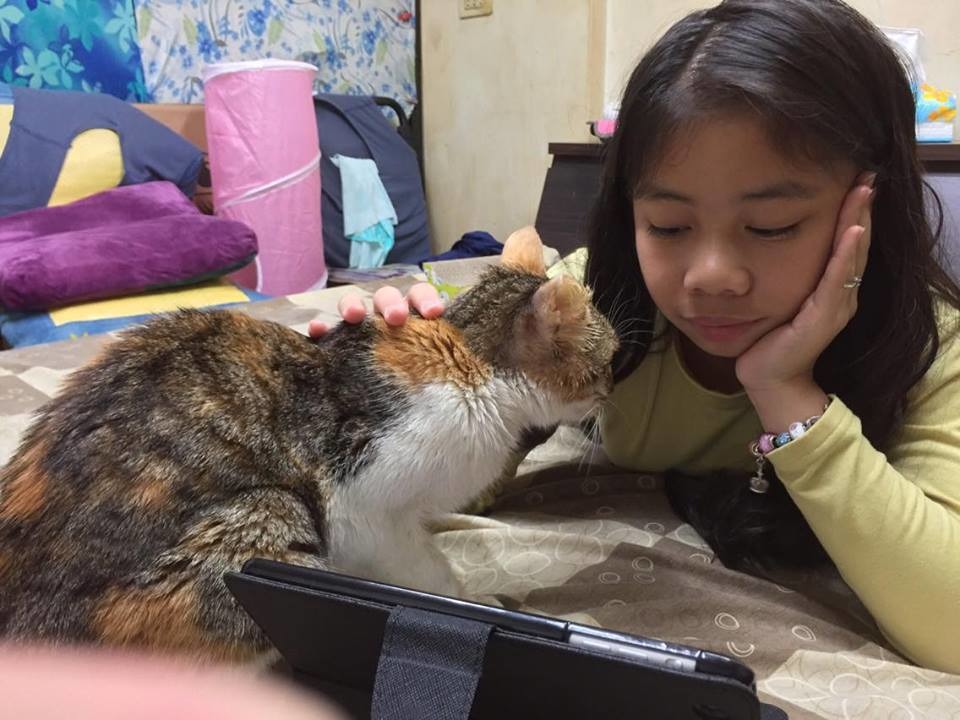 焦糖原本在猴硐流浪，後來被梁先生領養回家，受到梁先生全家的喜愛。　梁先生/提供