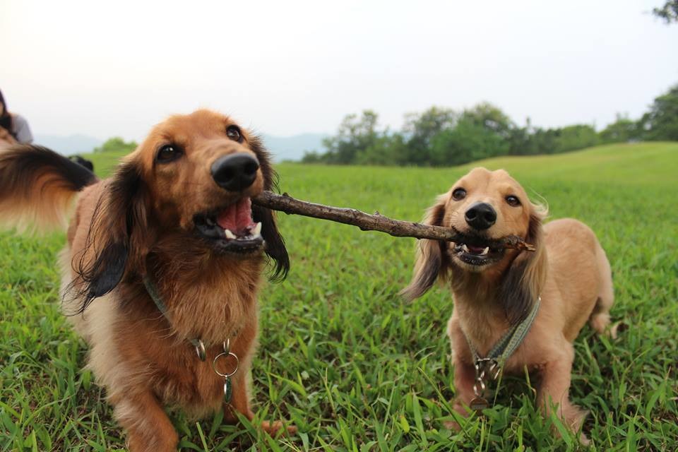 「我媽媽說最喜歡看我們倆玩樂時的傻樣了！」　陣小姐/提供