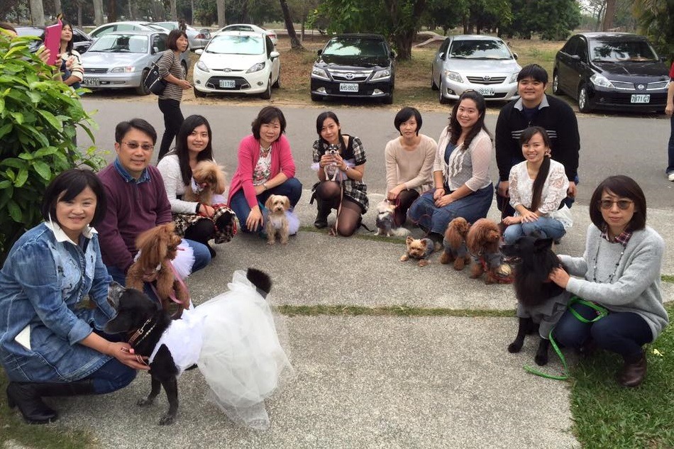 狗友們帶著愛犬，出動到台南當棠棠媽婚禮的小花童。　江侖瑾/提供