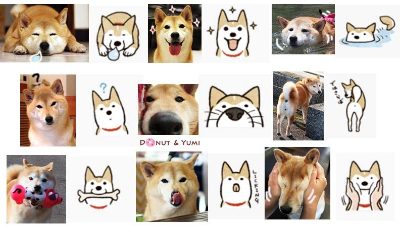 隨時記錄Yumi表情的秦綾謙，在柴犬貼圖風行時還製作對照版。　秦綾謙/提供