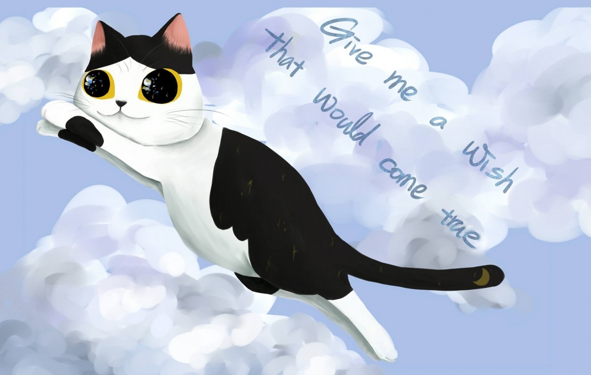 以圓圓為主題繪製的悠遊卡貼是福袋的內容之一! 顧珮蓁/提供