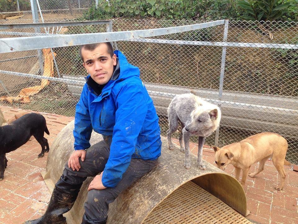 Arnold大學一畢業的第一份工作就是庇護所的管理顧問。　取自The PACK Sanctuary