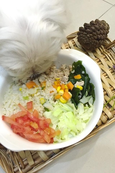 從飼料轉換成鮮食必須慢慢來。　Ellie/提供