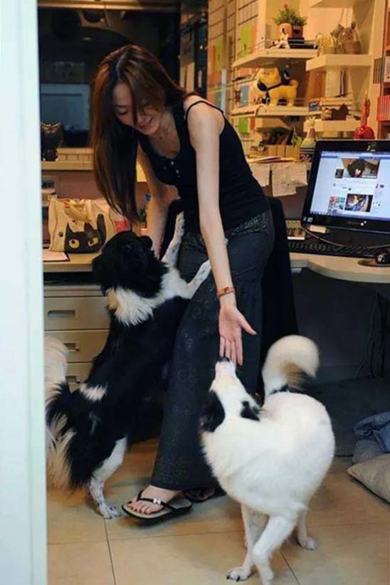 四季動物醫院兩隻院狗,曾經有坎坷命運,現在都獲得幸福! 帕子媽/提供