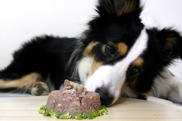 什麼時候可以吃……？　Wowo把拔/提供