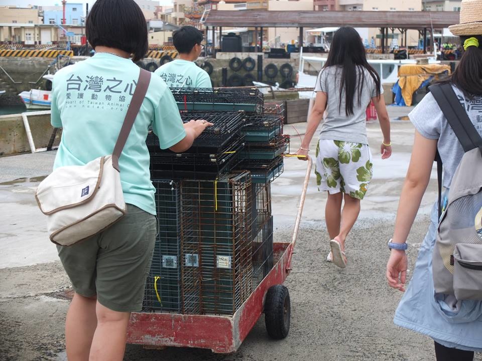 為了把大多的經費用在各式醫療用品和藥品，協助駐島結紮的獸醫和志工們，生活得很刻苦。　取自駐紮任務 TNvR Mission Camp