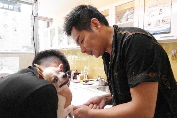 集賢愛生動物醫院院長楊振墉在學時期救援許多浪犬，開業後也和救援團體、個人中途合作。　毛臉臉社團/提供