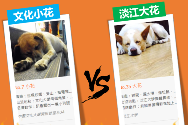 校園星寵選拔賽的「犬類」組別中，文化大學的小花和淡江大學的大花票數一陸互相追趕，昨天總算分出上下，由小花暫居第一。　取自展昭寵物用品展