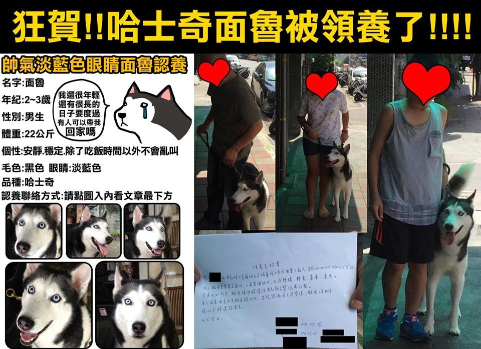 跟面魯一樣幸運的犬貓，共有28隻。　寶總監／提供