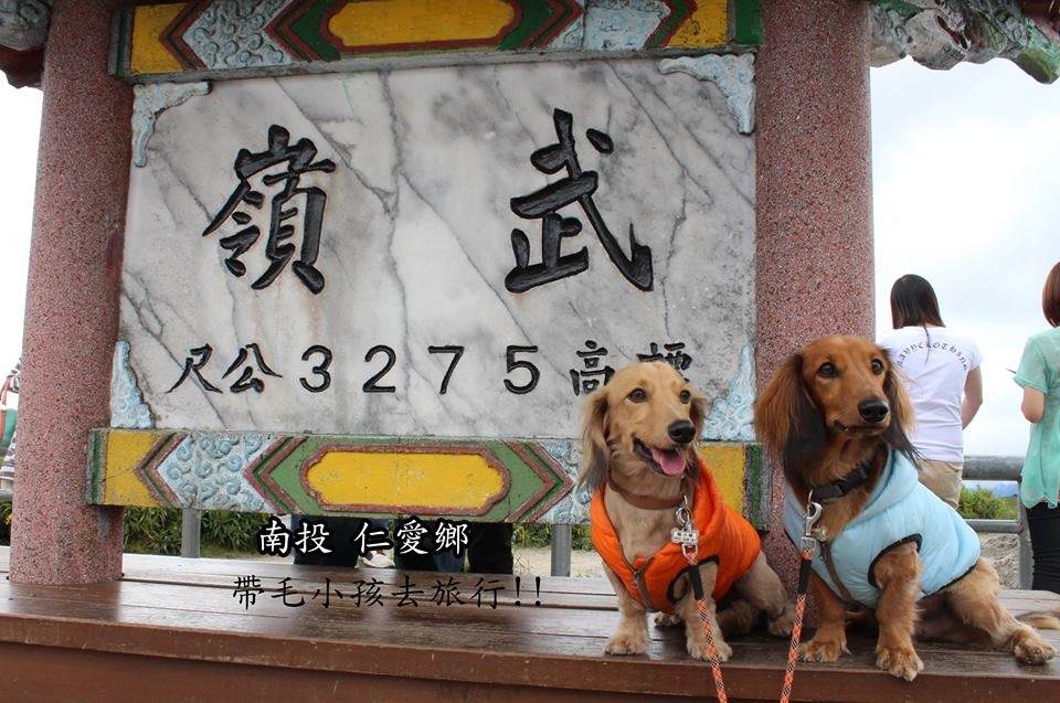 小賴(左)和小乙(右)帥氣登上武嶺！　陣小姐/提供