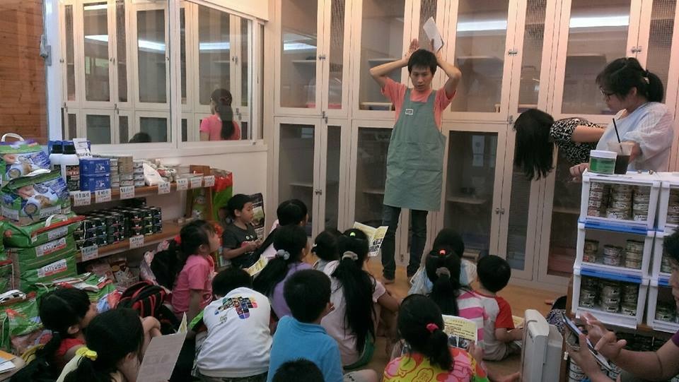 小朋友非常認真學習正確和貓咪互動的方法。 取自拼圖喵中途之家