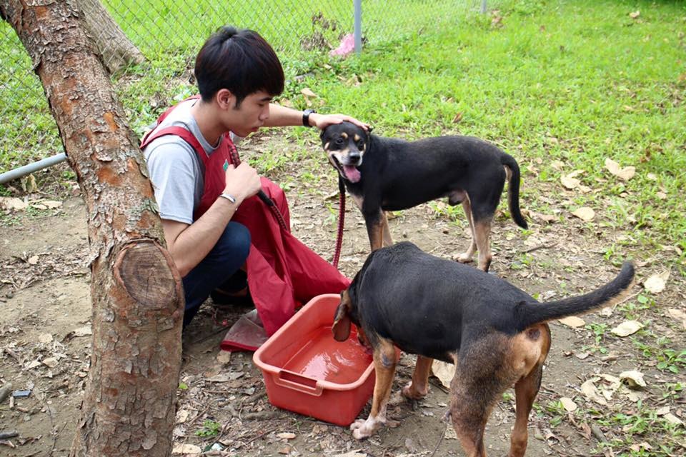 粉絲們跟狗狗雖然只相處短短幾小時，但要離開時都已充滿不捨之情。　王思佳/提供